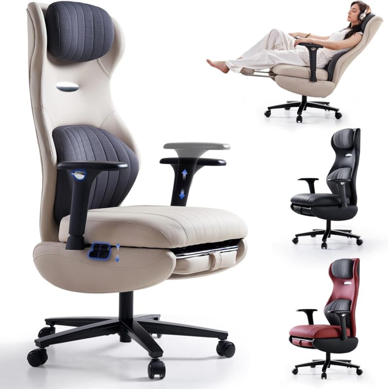 Joyce Ergonomic Reclining Office Chair